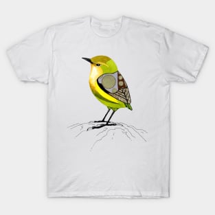 Rock Wren T-Shirt